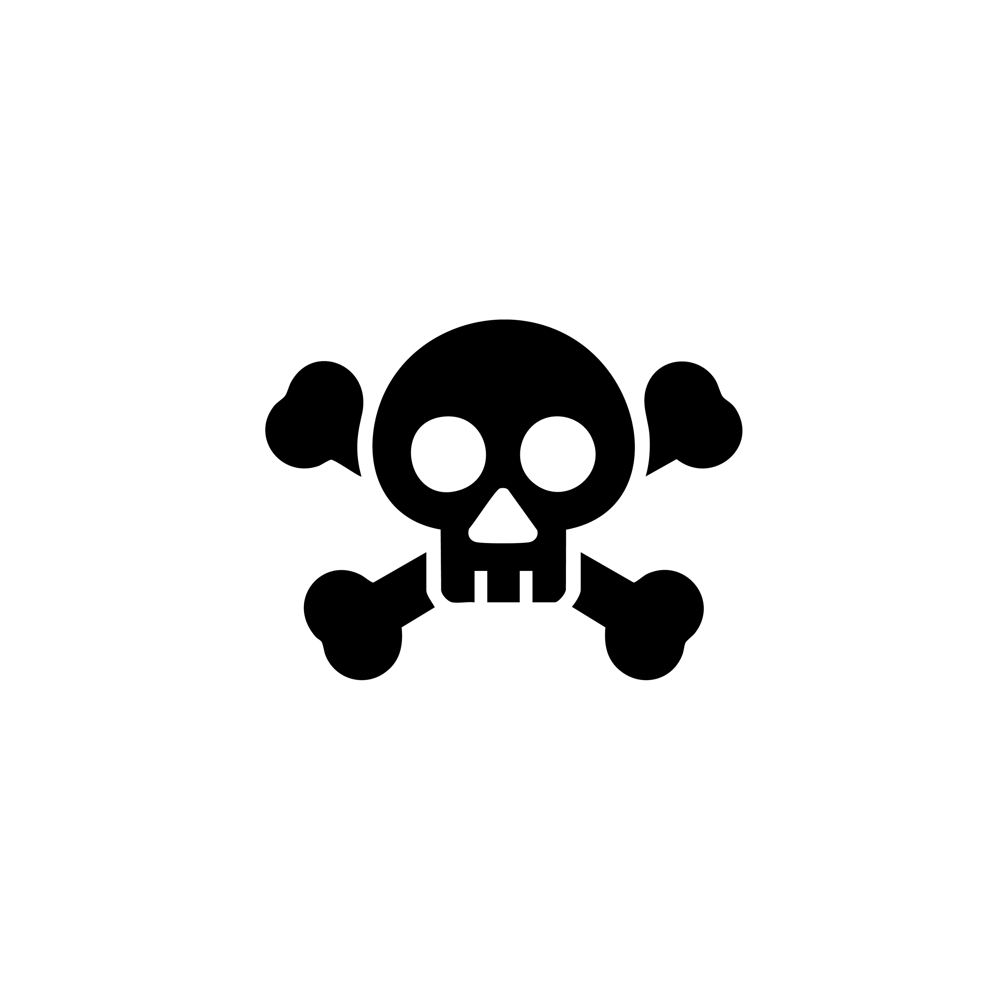 Vinyl Decal / Laptop Sticker/ Car Decal /  Skull & Crossbones