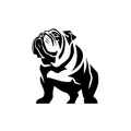 Vinyl Decal / Laptop Sticker/ Car Decal / Phone Sticker English Bulldog
