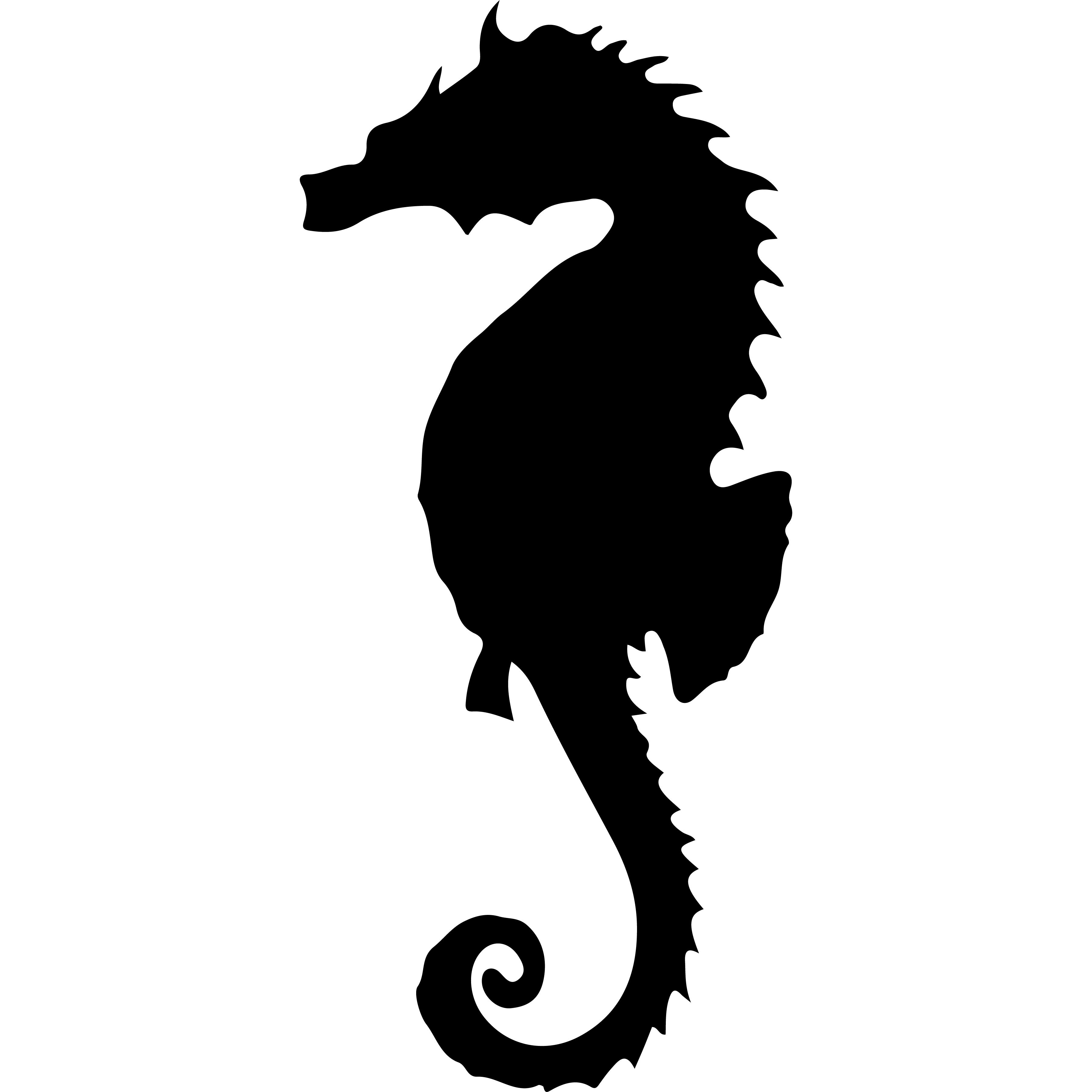 Vinyl Decal / Laptop Sticker/ Car Decal / Phone Sticker Seahorse
