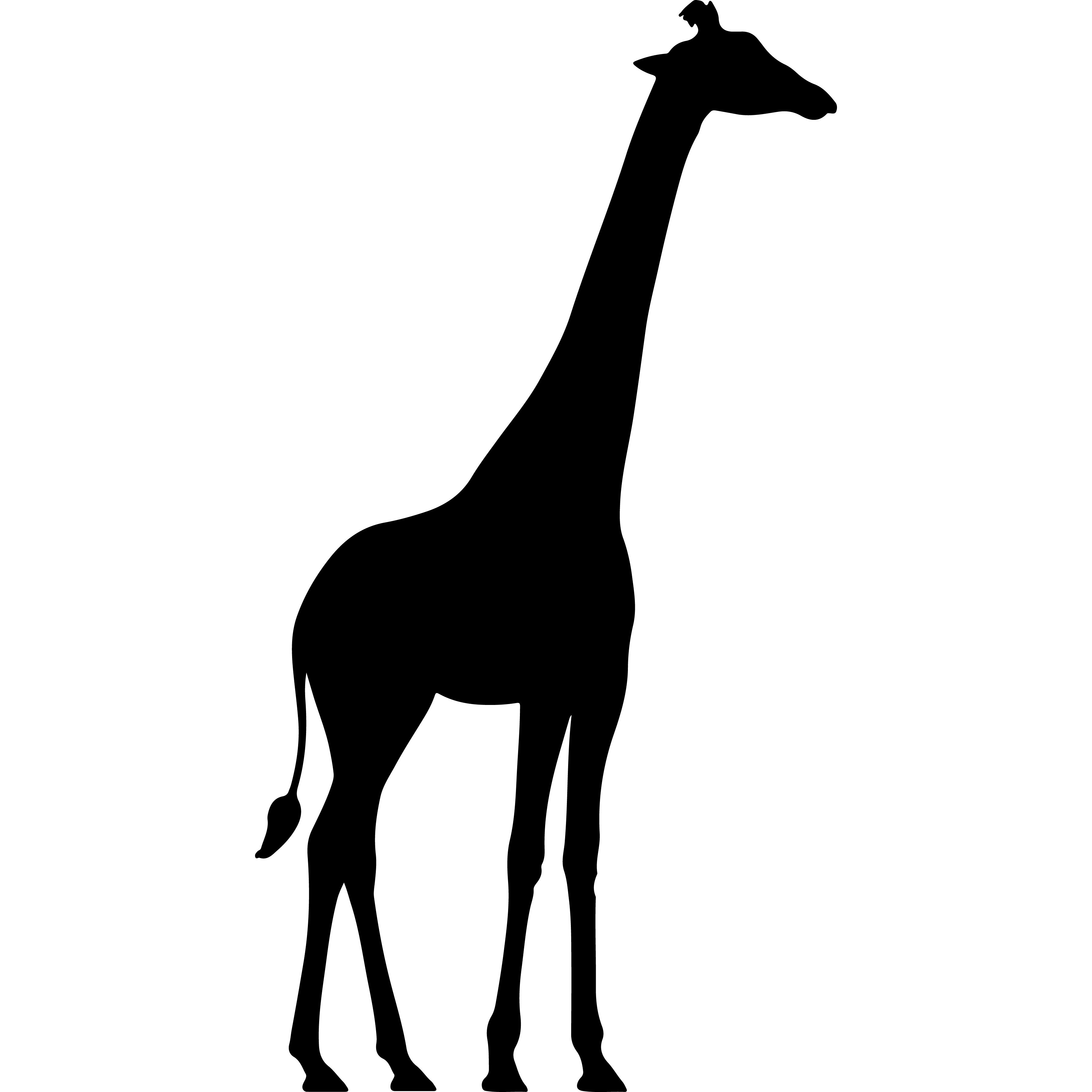 Vinyl Decal / Laptop Sticker/ Car Decal / Phone Sticker Giraffe