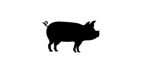 Vinyl Decal / Laptop Sticker/ Car Decal / Phone Sticker Pig