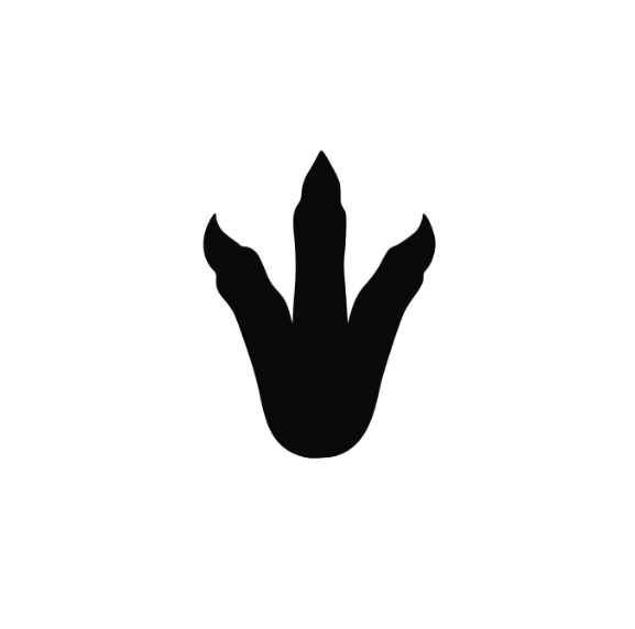 Vinyl Decal / Laptop Sticker/ Car Decal / Phone Sticker Dinosaur Footprint