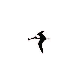 Vinyl Decal / Laptop Sticker/ Car Decal / Phone Sticker Ornithocheirus