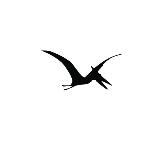 Vinyl Decal / Laptop Sticker/ Car Decal / Phone Sticker Pteranodon