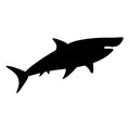 Vinyl Decal / Laptop Sticker/ Car Decal / Phone Sticker Shark