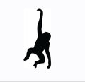 Vinyl Decal / Laptop Sticker/ Car Decal / Phone Sticker Monkey