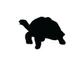 Vinyl Decal / Laptop Sticker/ Car Decal / Phone Sticker Tortoise